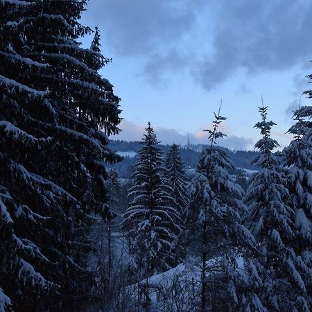 Willa Franciszek Zakopane Buitenkant foto