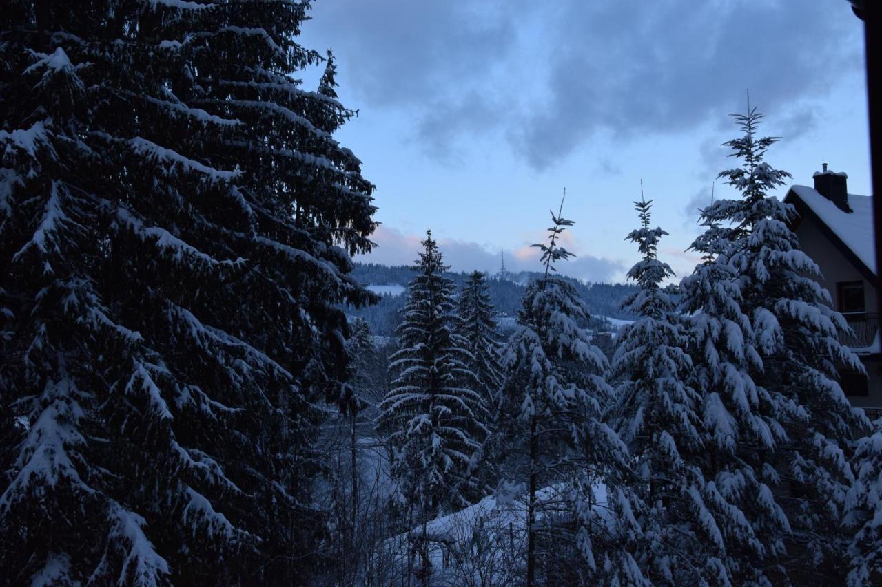 Willa Franciszek Zakopane Buitenkant foto